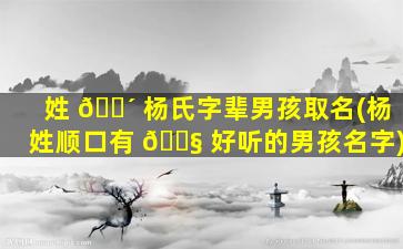 姓 🐴 杨氏字辈男孩取名(杨姓顺口有 🐧 好听的男孩名字)